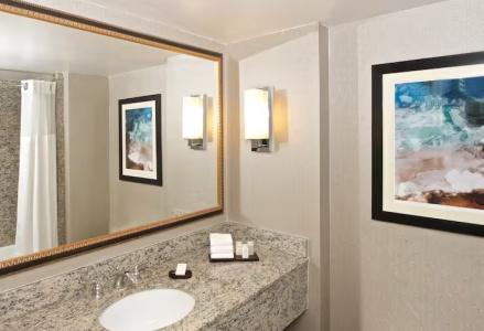 Embassy Suites by Hilton Seattle - 32
