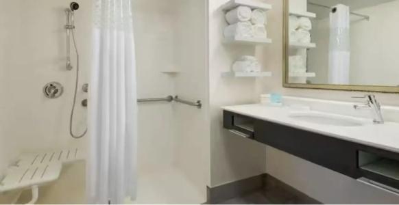 Hampton Inn & Suites Airport Avion Park Westshore - 62