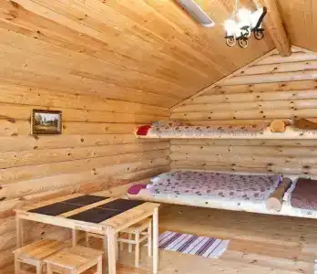 Бурый Медведь - 4