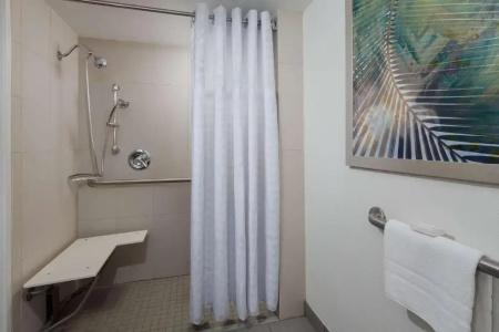 Embassy Suites by Hilton- Lake Buena Vista Resort - 59