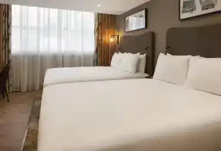 DoubleTree by Hilton London Victoria - 65