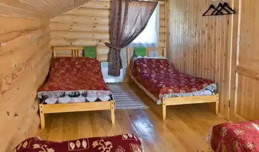 Бурый Медведь - 1