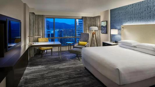 Hyatt Regency - 38