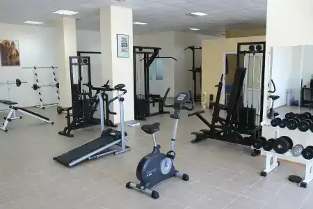 Korona - 13