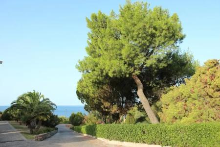 Eco Village Baia Delle Ginestre - 15