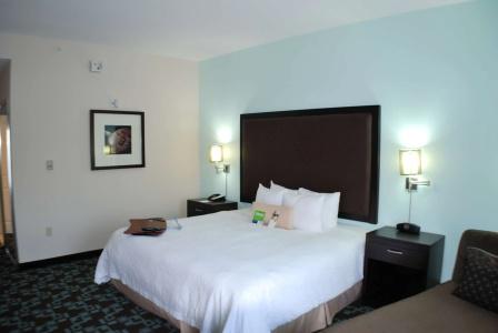 Hampton Inn & Suites Nashville at Opryland - 63
