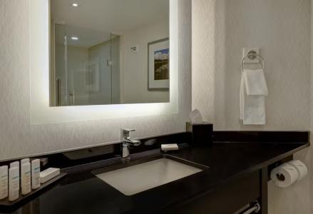 Embassy Suites by Hilton/ Fallsview - 73