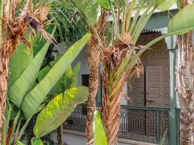 Riad Jaaneman - 76