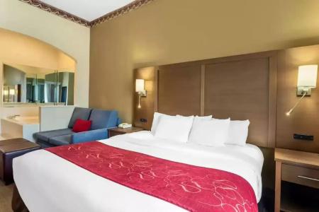 Comfort Suites Bush Intercontinental Airport - 34