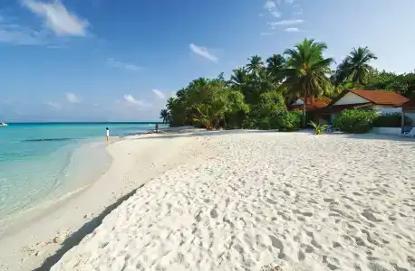 Diamonds Athuruga Maldives Resort & Spa - 33