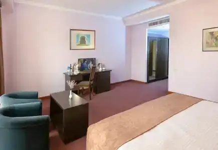Ani Central Inn - 69