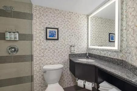 Holiday Inn Downtown Centre By Ihg - 21