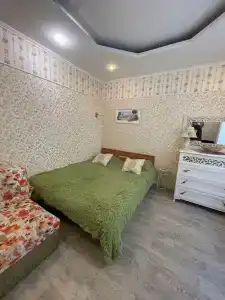 Кипарис на Красноармейском - 5