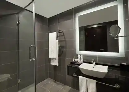 Park Regis Business Bay - 30
