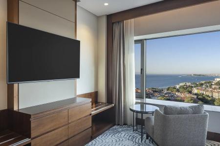 Conrad Istanbul Bosphorus - 95