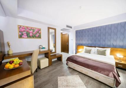 Phoenicia Comfort - 23