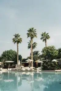 Delano - 18