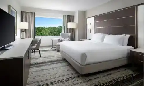 Signia by Hilton Orlando Bonnet Creek - 42
