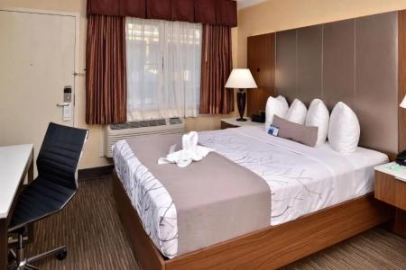 Best Western Hollywood Plaza Inn - Hollywood Walk Of Fame - La - 27