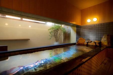 Ryokan Seiryu (Specialised in Hida beef) - 14