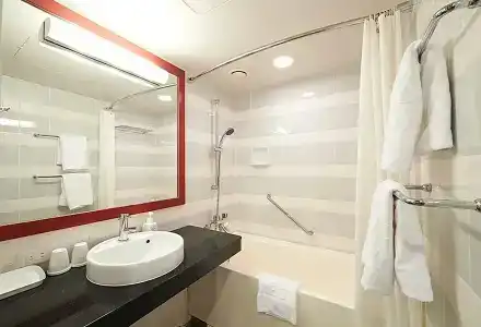 Sotetsu Fresa Inn Tokyo-Akasaka - 54