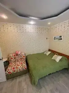 Кипарис на Красноармейском - 6