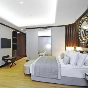 Crowne Plaza Bursa Convention Center & Thermal Spa, An Ihg - 56