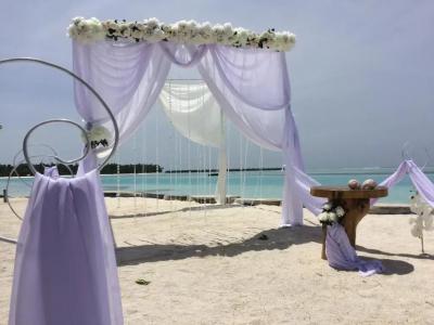 Dhiffushi White Sand Beach - 19