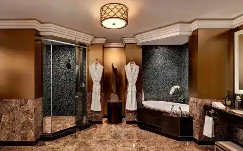 Lotte New York Palace - 166
