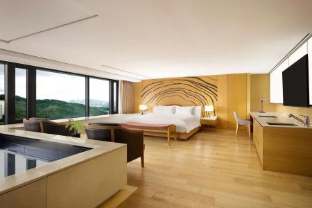 Banyan Tree Club & Spa Seoul - 43
