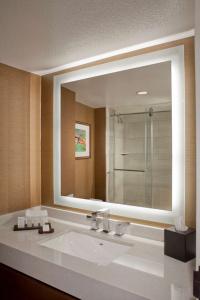 Embassy Suites by Hilton Dallas Near the Galleria - 57