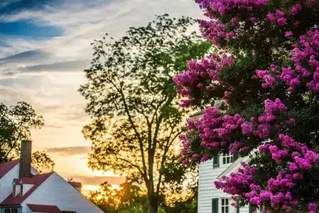 Colonial Houses - A Colonial - 6
