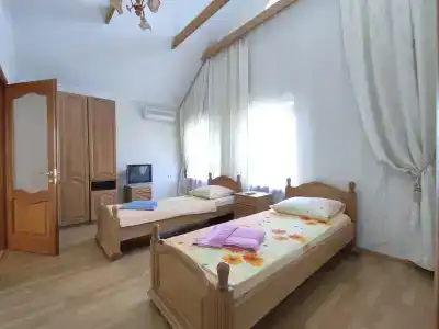 SanAlex - 11