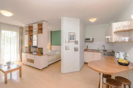 Premium Apartment House - 48