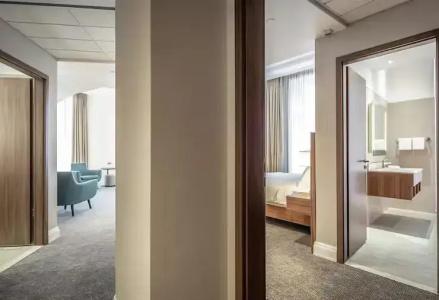 Hilton Garden Inn Bucharest - 78