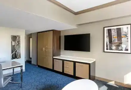 Hilton Club New York - 35