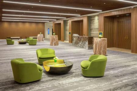 C. Baldwin, Curio Collection by Hilton - 37
