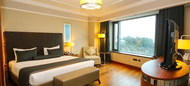 Dedeman Zonguldak - 48
