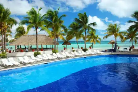 Oasis Palm - 24