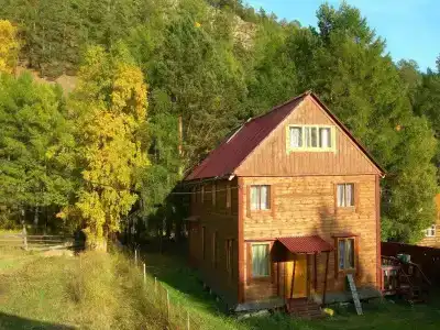 Черный Кот - 2