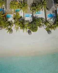 Anantara Dhigu Maldives Resort - 65