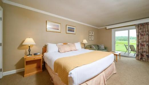 Stoweflake Mountain & Spa - 71