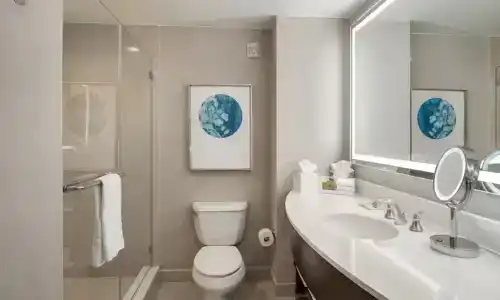 Signia by Hilton Orlando Bonnet Creek - 48