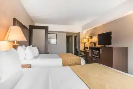 Comfort Suites Downtown - 36