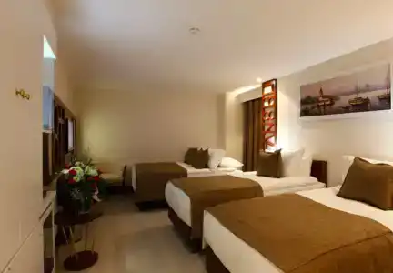 Victory & Spa Istanbul - 61