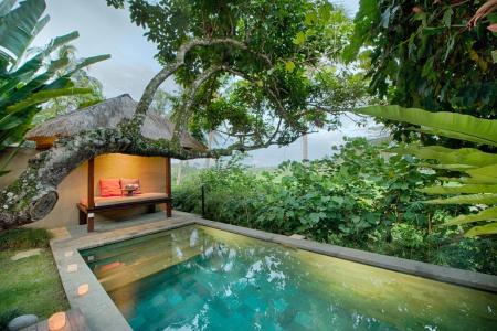 Temuku Villas - 50