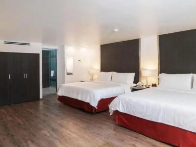 Holiday Inn Buenavista, An Ihg - 45