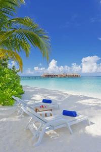 Angaga Island and Spa - 14