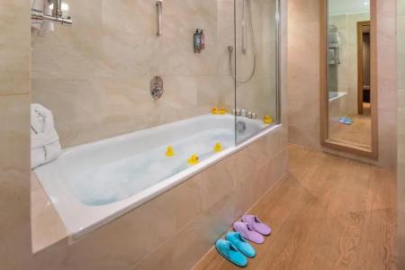 Starhotels Metropole - 73