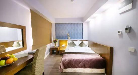 Phoenicia Comfort - 34